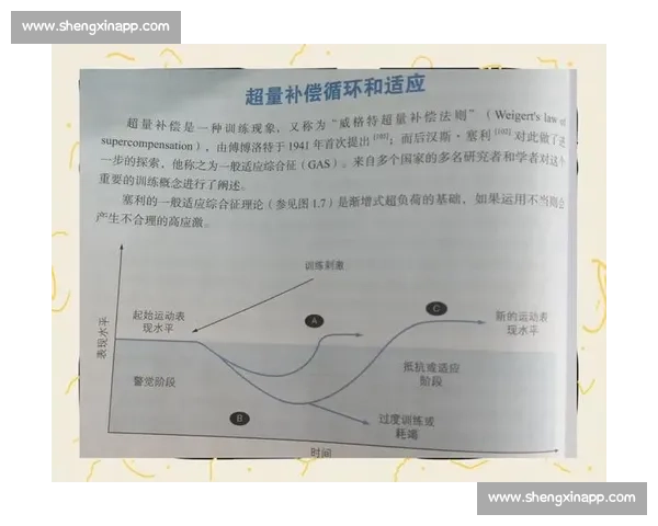全面提升运动表现的科学训练方法与高效恢复营养策略解析实践指南